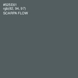 #525E61 - Scarpa Flow Color Image